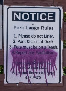 report vandalism.jpg