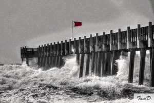 DSC1310tm.jpg