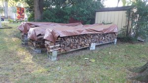2023 wood pile.jpg