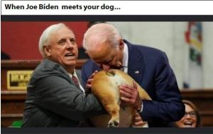 Joe meet dog.jpg