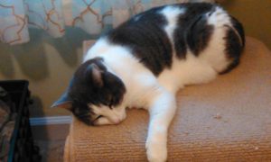 IMG_20171207_095142