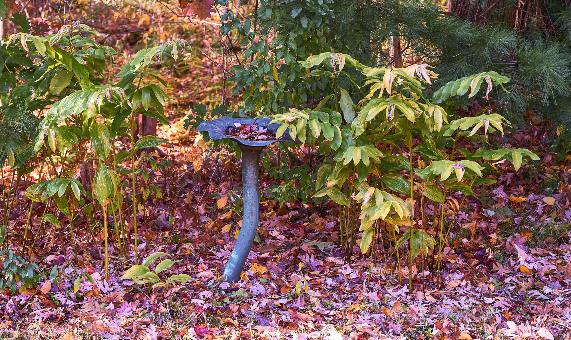 DSC05757-scaled-2