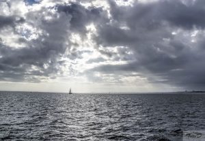 DSC02884