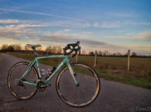 bianchi