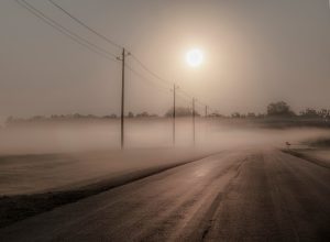 Early-fog-and-sun