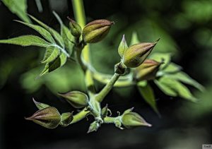 DSC00283
