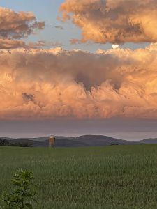 IMG_4579-rotated